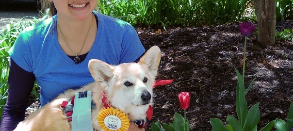 May Scent trial with Pogo